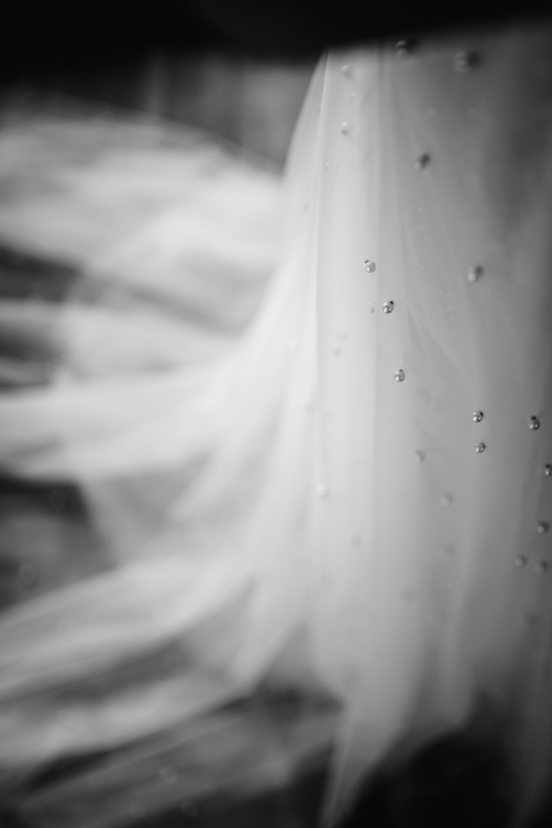 Detail aus einem natürlichen Getting Ready