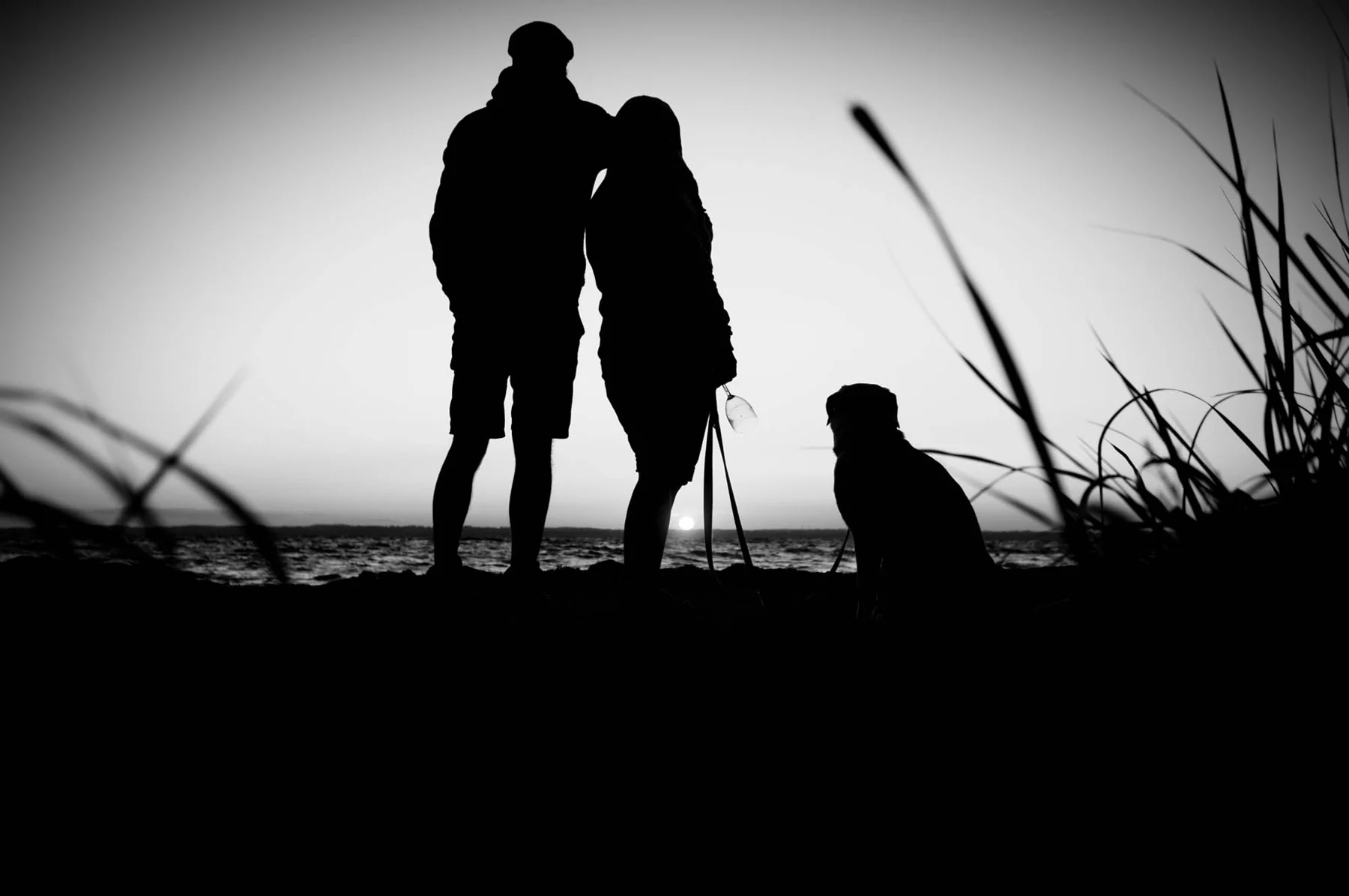 Marc, Cordi und Labrador Freddy als Silhouetten beim Sonnenuntergang in Holland