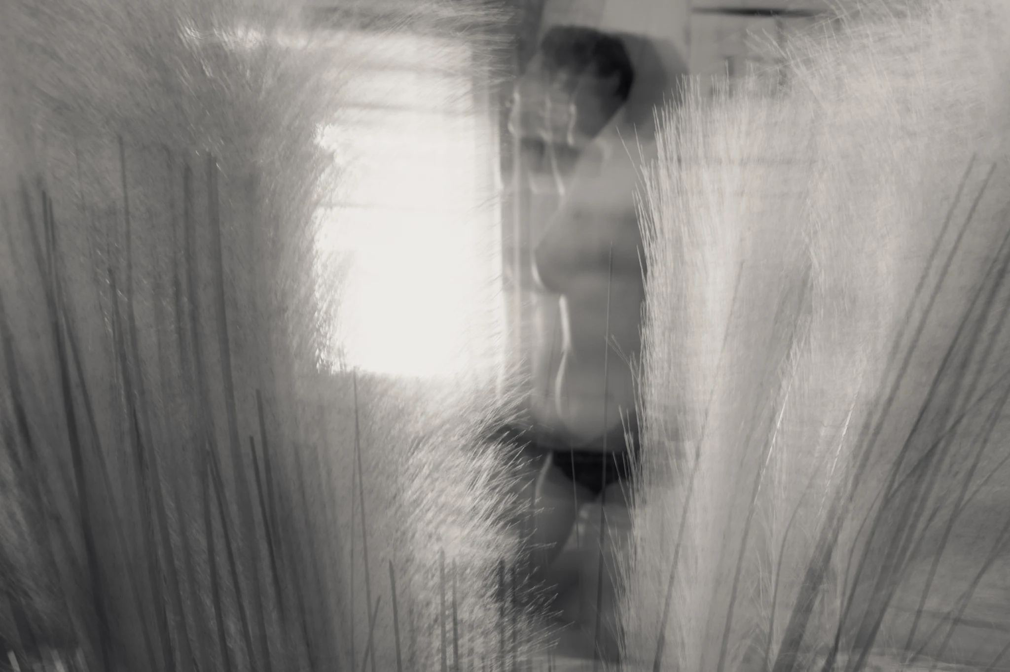 Julia am Fenster, fotografiert durch unscharfe Pflanzen im Vordergrund
