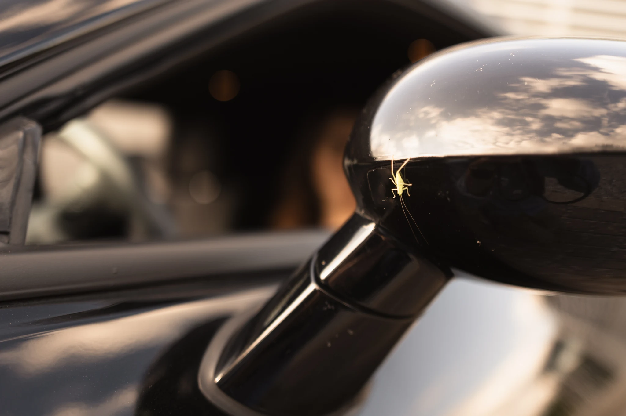 Außenspiegel des Autos im Licht