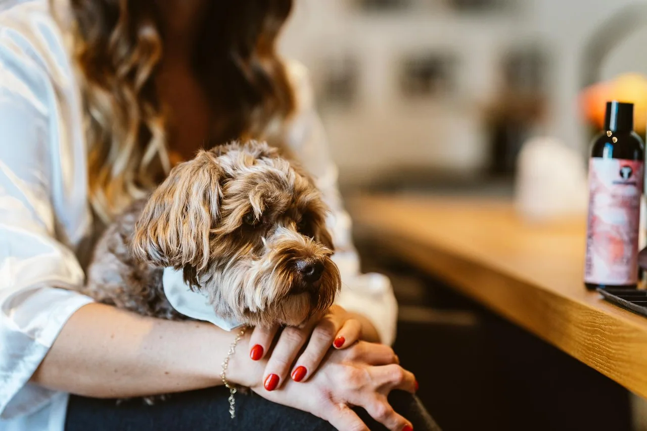Die Braut hält ihren Hund im Arm.